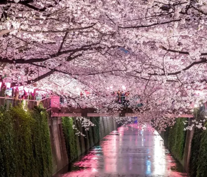 festivals incontournables du Japon