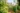 jardins de Claude Monet Giverny