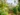 jardins de Claude Monet Giverny