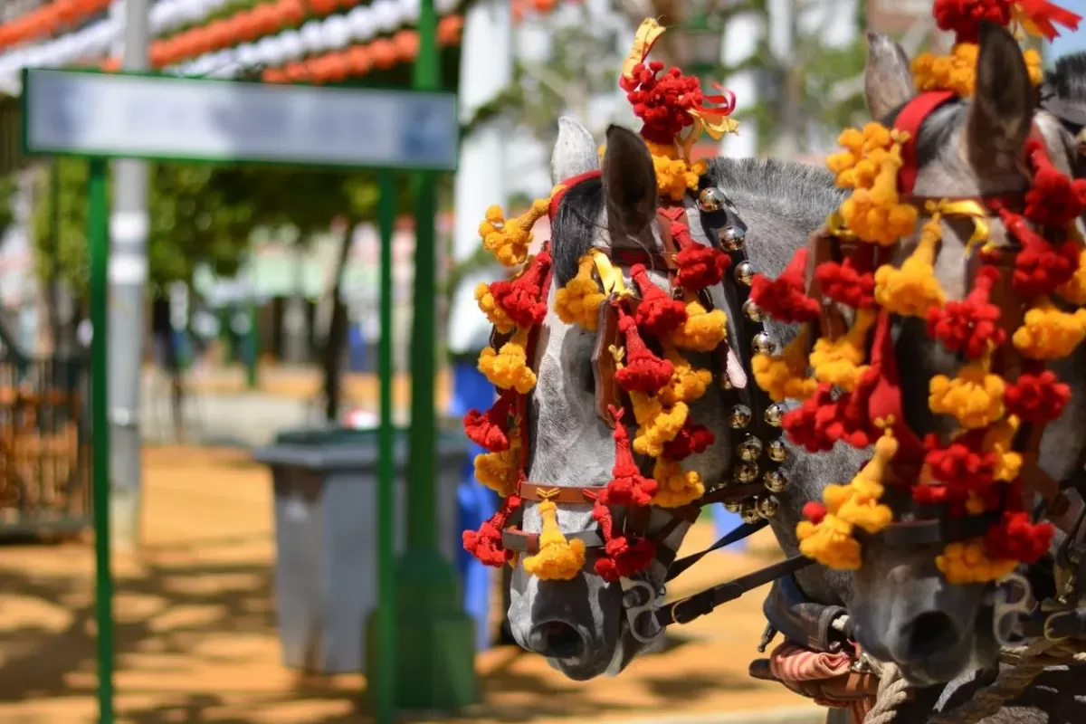 saison des ferias
