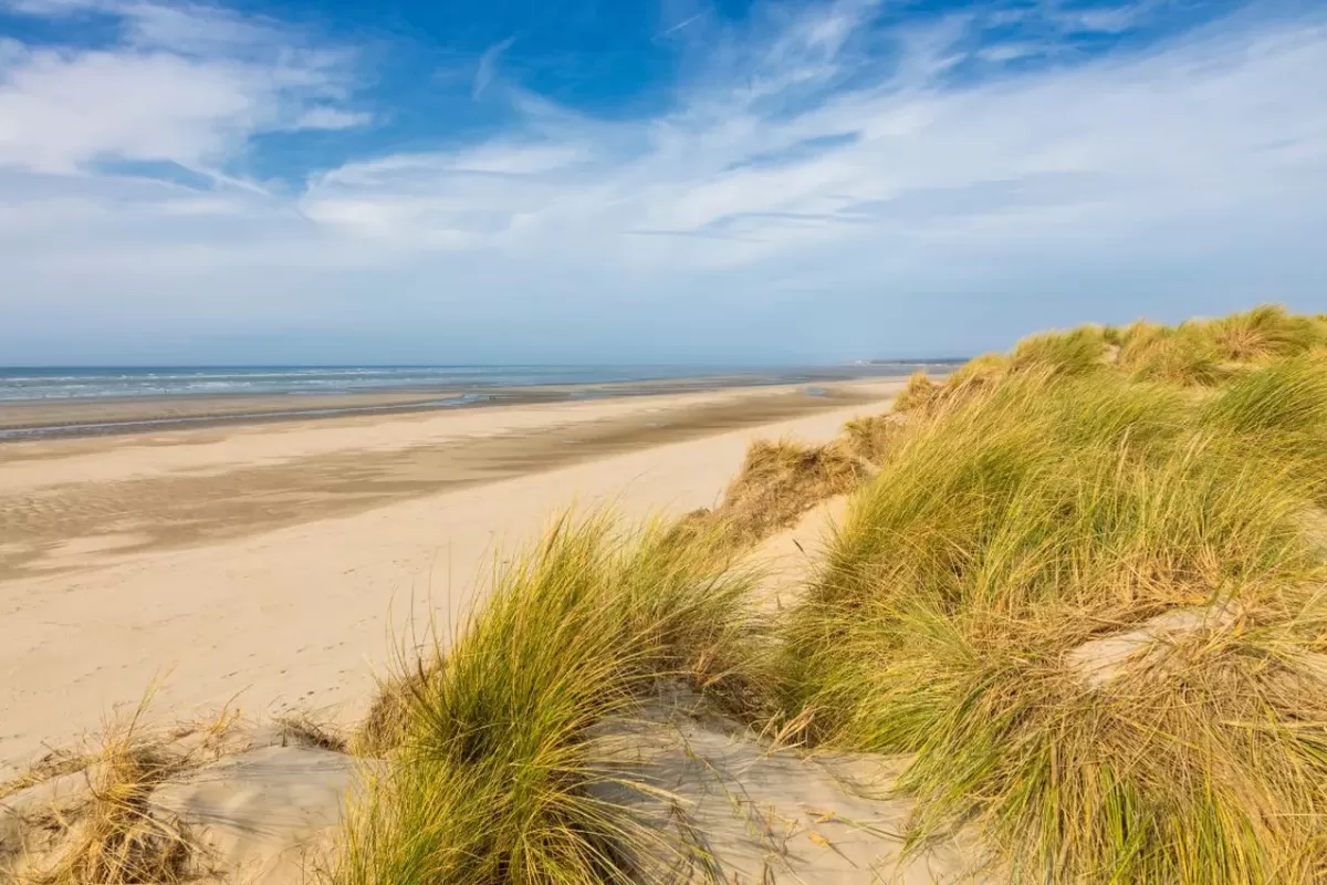 dunes de Flandre