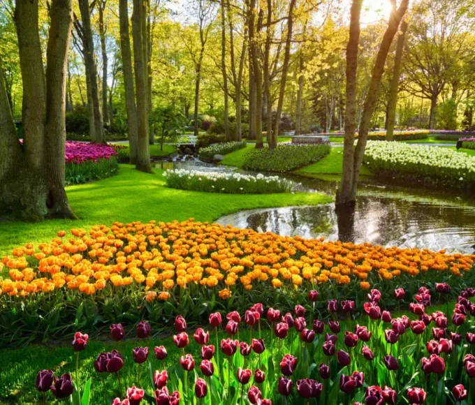 Keukenhof