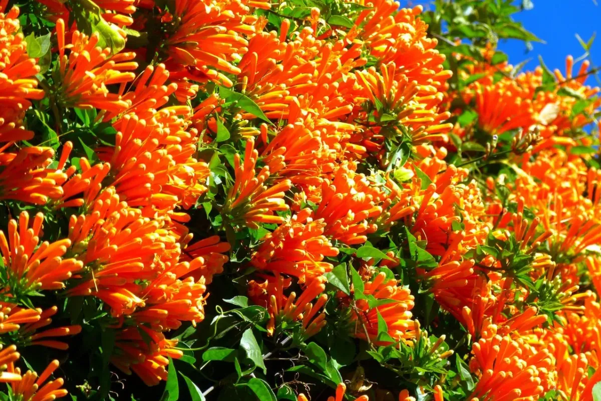 Val Rahmeh botanical garden