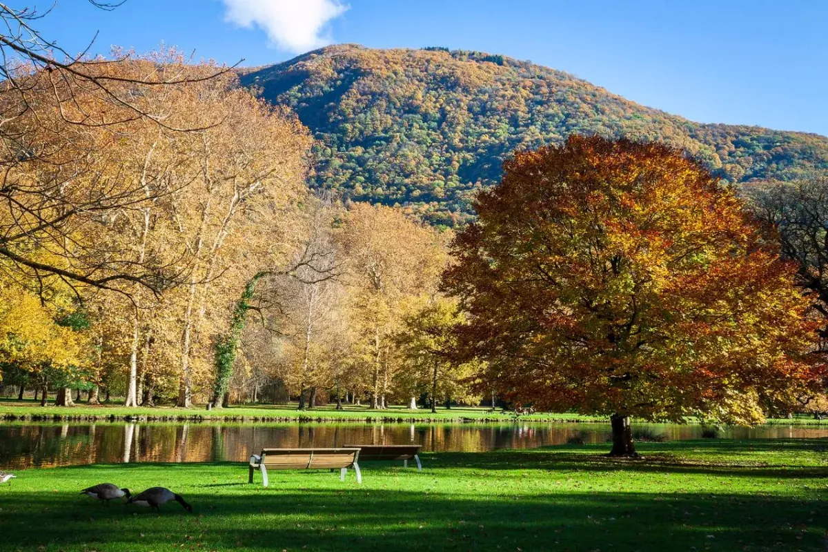 Parc Naturel de Chambaran