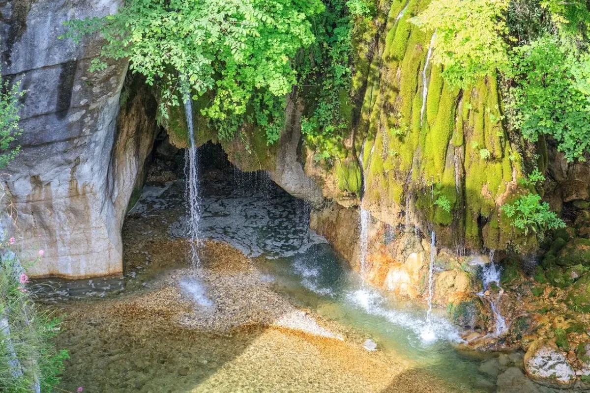Saut du Loup à Courmes