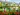 Giverny