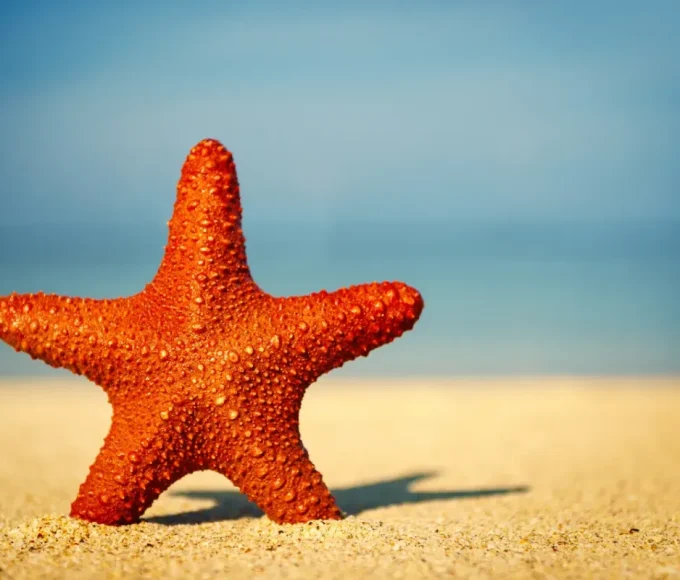 ces-periodes-sont-les-moins-recommandees-pour-partir-en-vacances-cet-ete