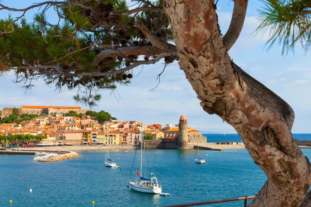 Collioure