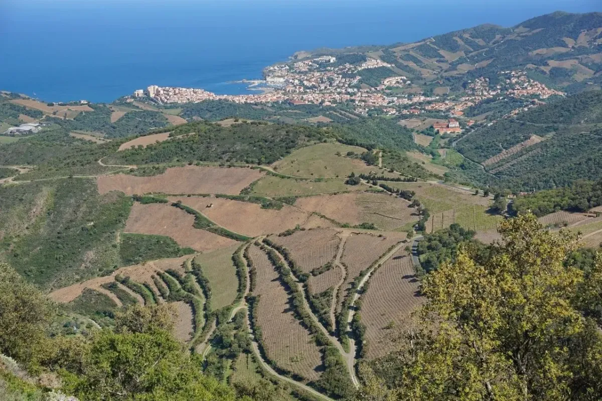 Banyuls-sur-Mer