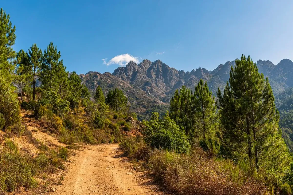 Sentier des Douaniers