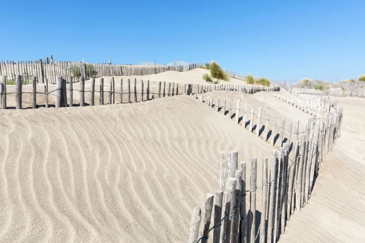 plage de l'Espiguette