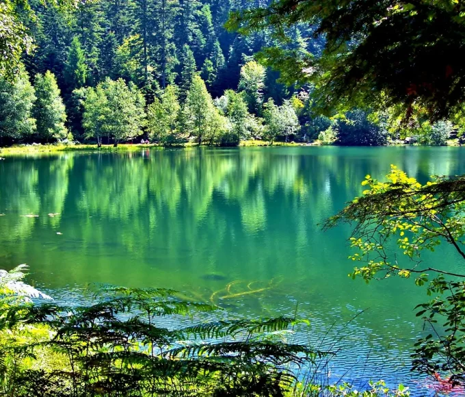 a-lautomne-ce-lac-des-vosges-offre-un-cadre-naturel-incroyable-avec-la-couleur-des-arbres