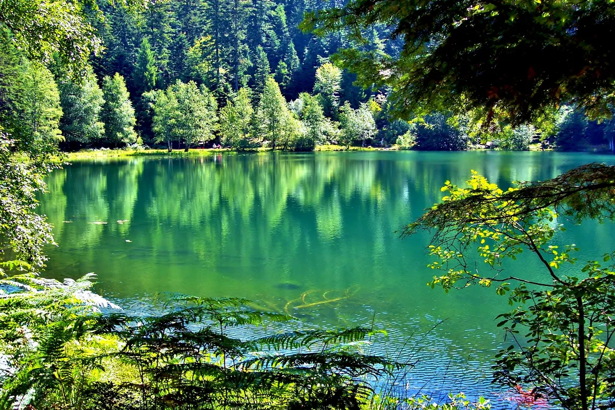 a-lautomne-ce-lac-des-vosges-offre-un-cadre-naturel-incroyable-avec-la-couleur-des-arbres