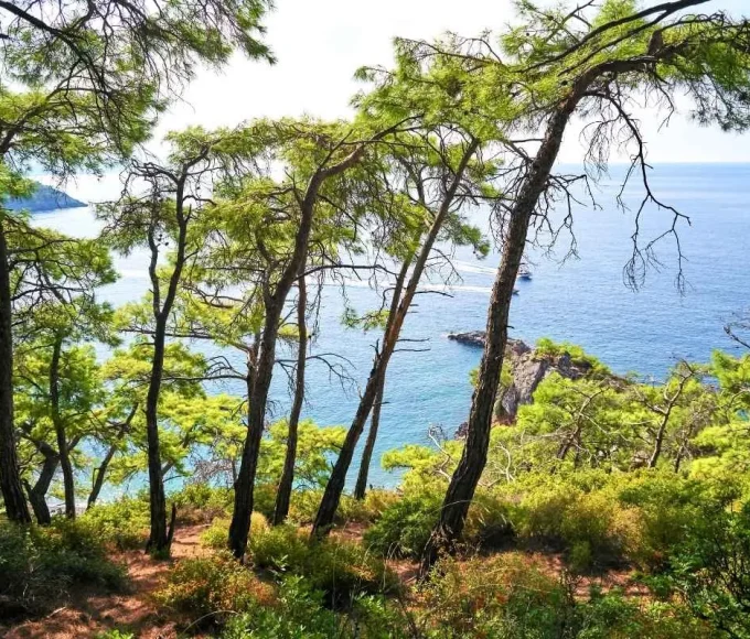 ce-village-perche-a-500-metres-vous-offre-une-vue-a-couper-le-souffle-sur-la-balagne