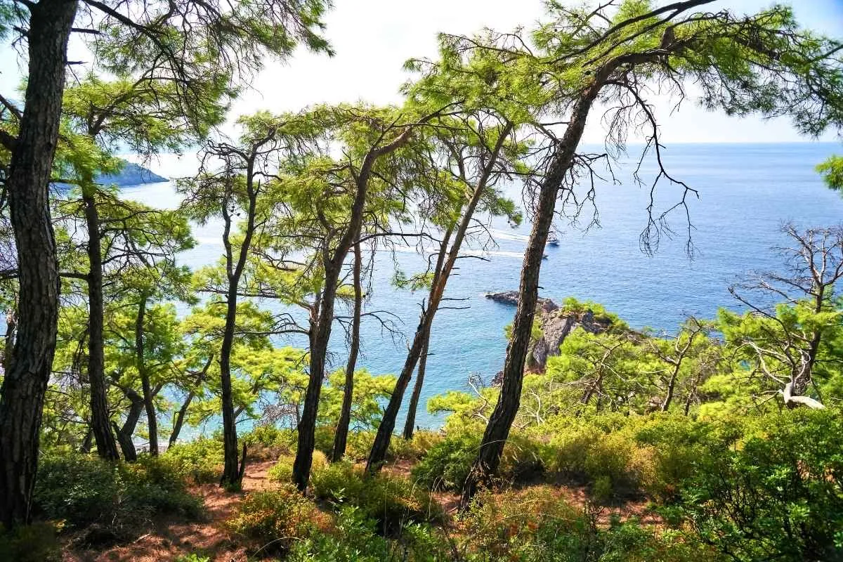 ce-village-perche-a-500-metres-vous-offre-une-vue-a-couper-le-souffle-sur-la-balagne