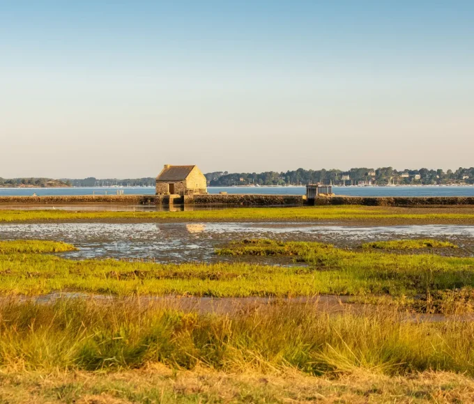 inaccessible-en-temps-normal-cette-petite-ile-bretonne-ouvre-ses-portes-a-loccasion-des-journees-du-patrimoine