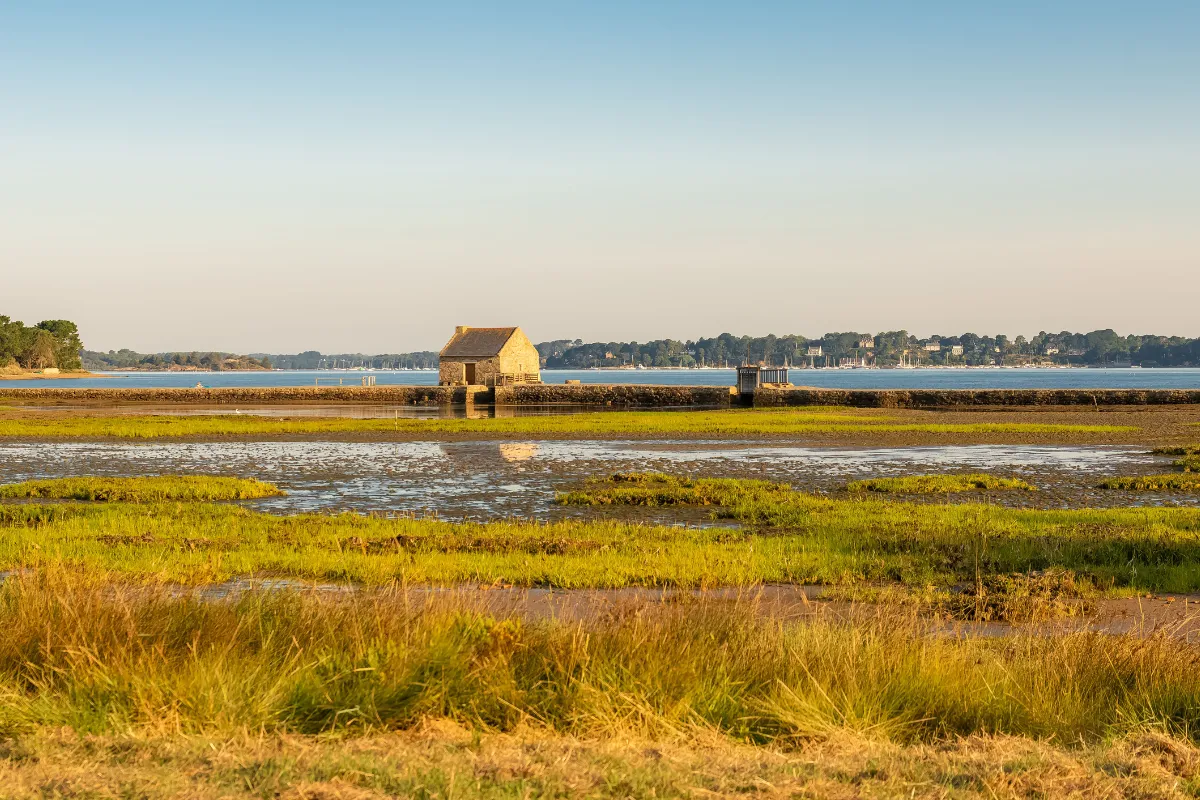 inaccessible-en-temps-normal-cette-petite-ile-bretonne-ouvre-ses-portes-a-loccasion-des-journees-du-patrimoine