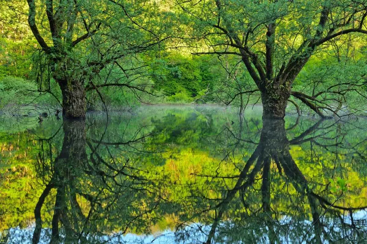 a-seulement-50-minutes-de-lyon-ce-lac-cache-devoile-ses-eaux-turquoise-aux-plus-curieux-dentre-vous