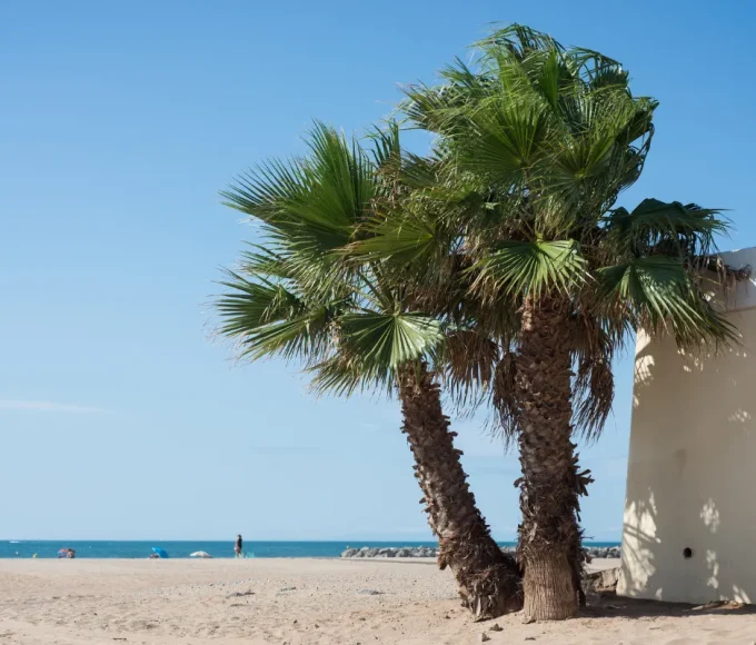 avec-son-sable-blanc-cette-plage-francaise-meconnue-est-lune-des-plus-belles-du-monde