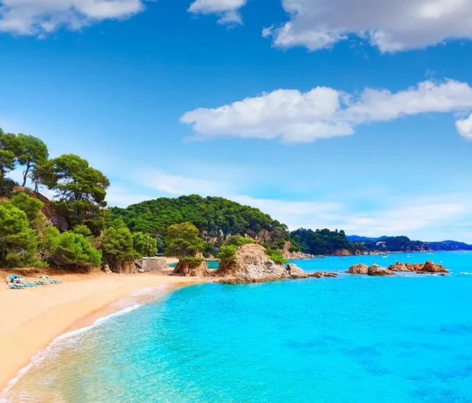 dans-le-var-cette-plage-aux-eaux-emeraude-et-sable-fin-est-un-paradis-sauvage-a-decouvrir-absolument