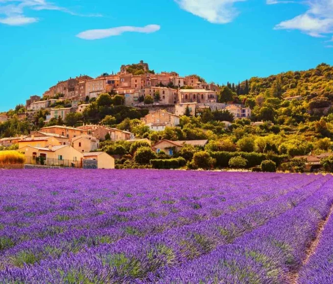 la-provence-dissimule-un-champ-de-lavande-quil-faut-voir-au-moins-une-fois-dans-votre-vie