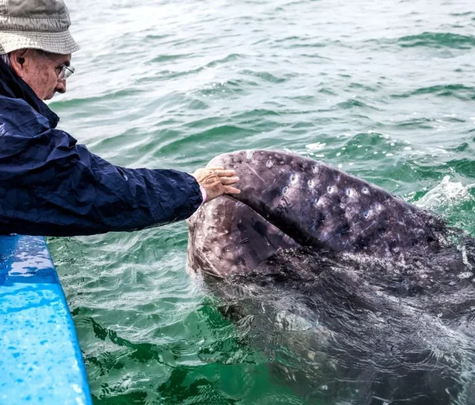 lagune de San Ignacio