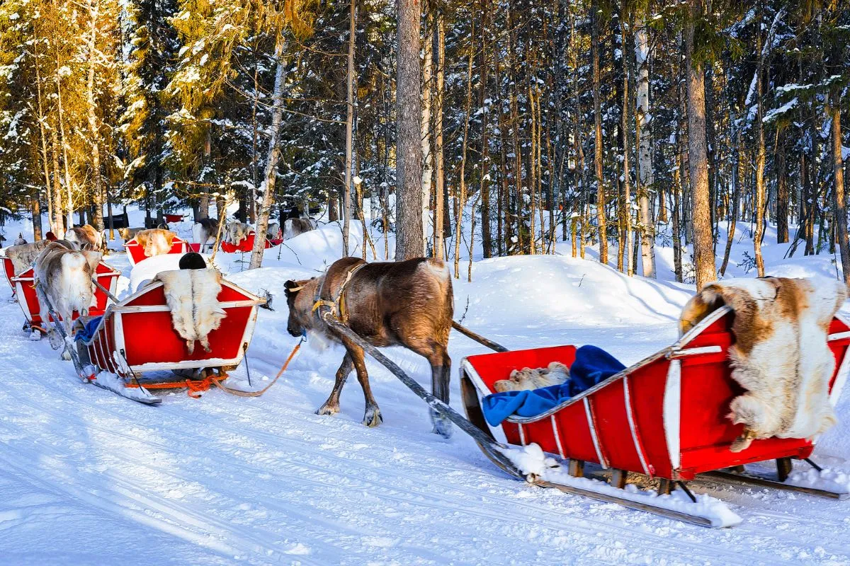 lapland chrismas