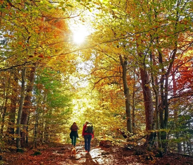 Dans les Pyrénées-Orientales, ces 5 magnifiques randonnées sont incontournables en automne