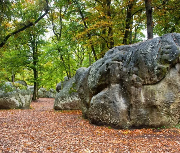 circuit des 25 bosses