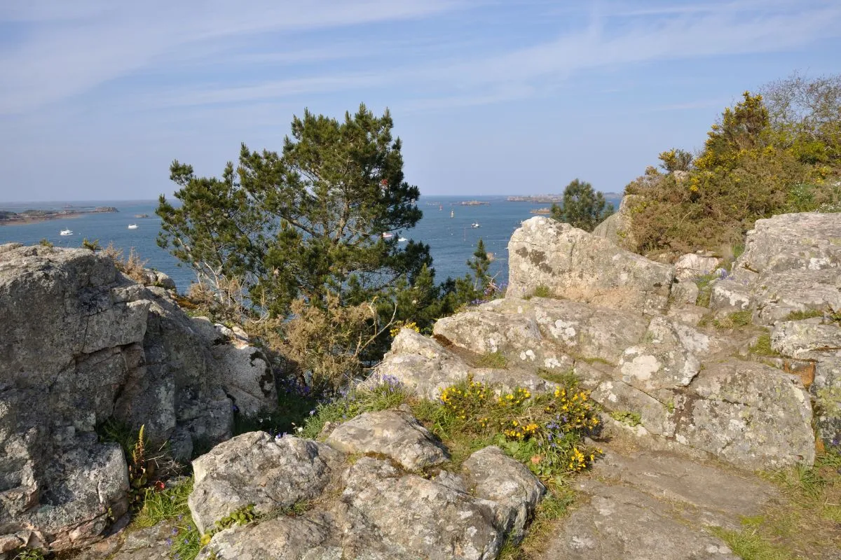 Roche-aux-Oiseaux