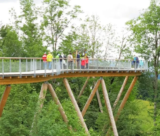Baumwipfelpfad Neckertal