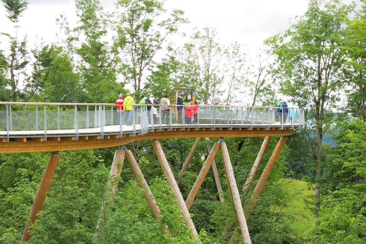 Baumwipfelpfad Neckertal