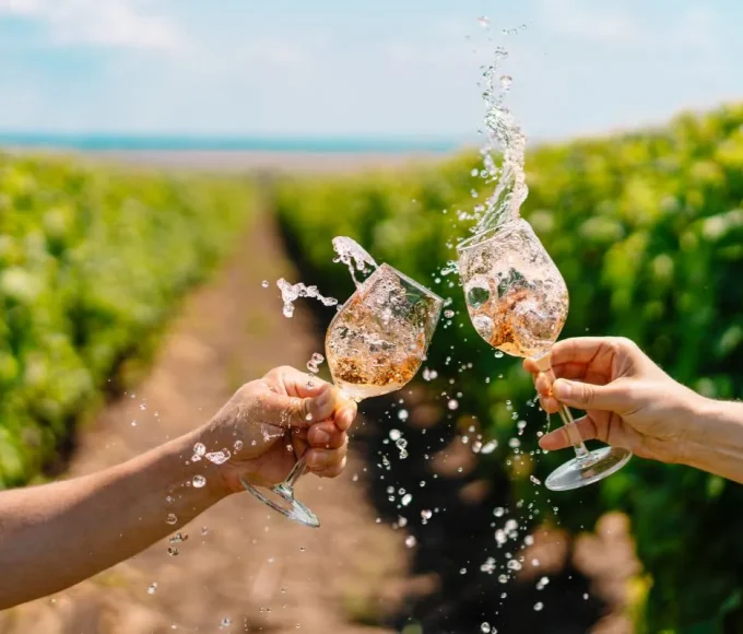 vignobles du Languedoc