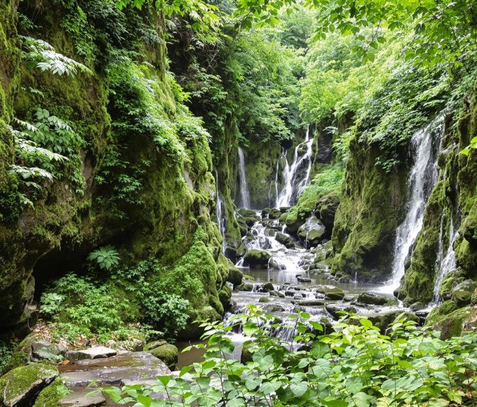 Au Pays Basque, ces gorges spectaculaires vous transportent en Amazonie