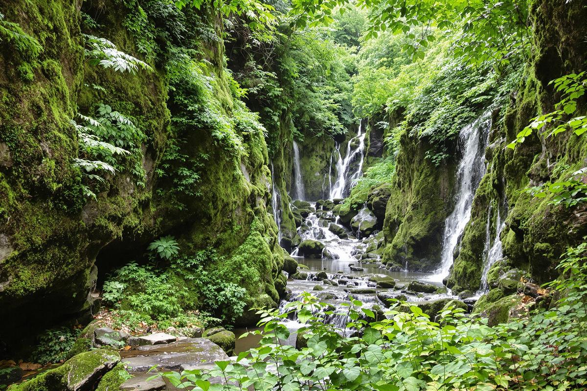 Au Pays Basque, ces gorges spectaculaires vous transportent en Amazonie