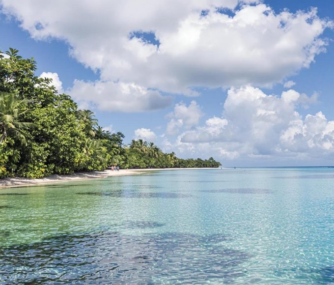 Endroit à éviter en Martinique : ce que vous devez savoir avant de partir