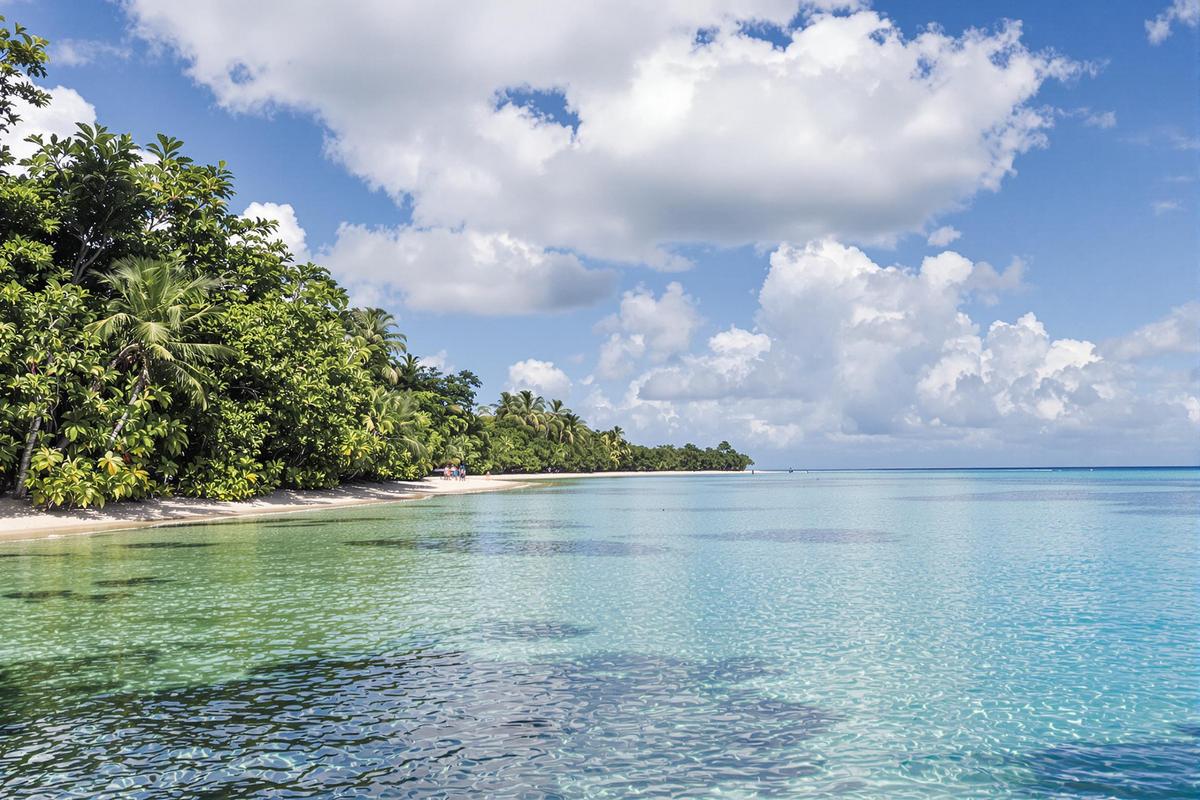 Endroit à éviter en Martinique : ce que vous devez savoir avant de partir