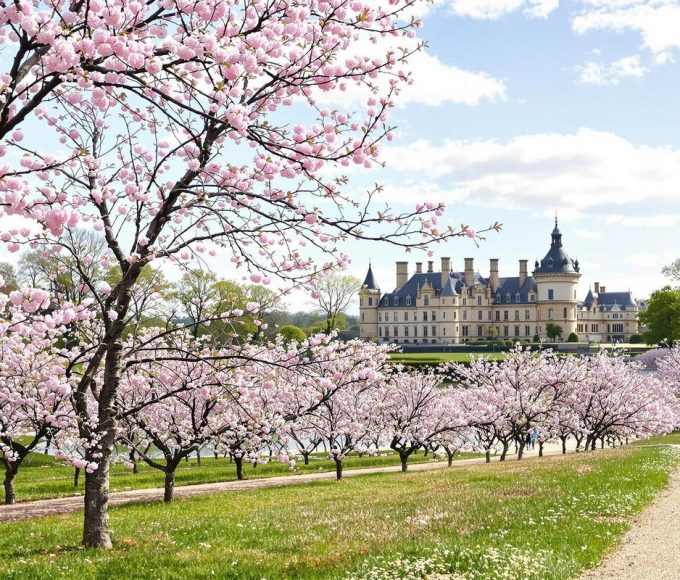 Accessible en RER depuis Paris, ce jardin et ses nombreux cerisiers en fleurs vous feront voyager au Japon ce printemps