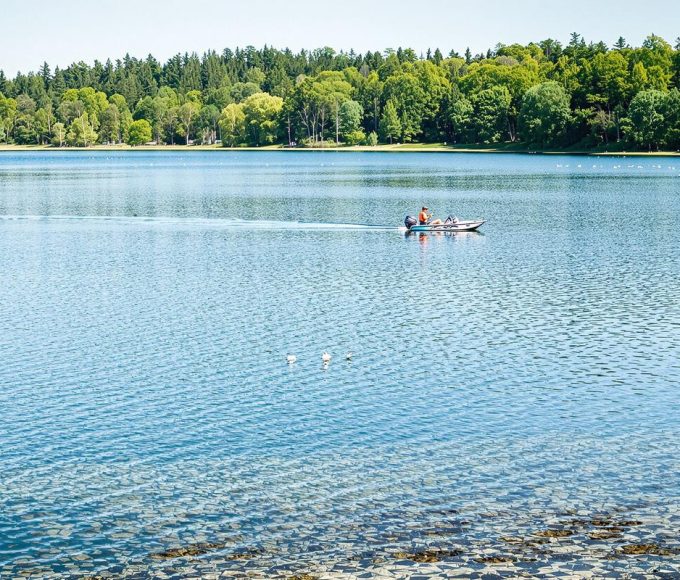 Dans ce lac français, des poissons géants de plus de 2 mètres nagent sous la surface