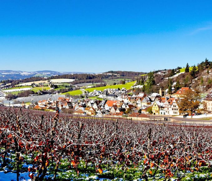 Entre vignes et villages typiques, 170 km sur la route des vins d’Alsace à découvrir même en hiver