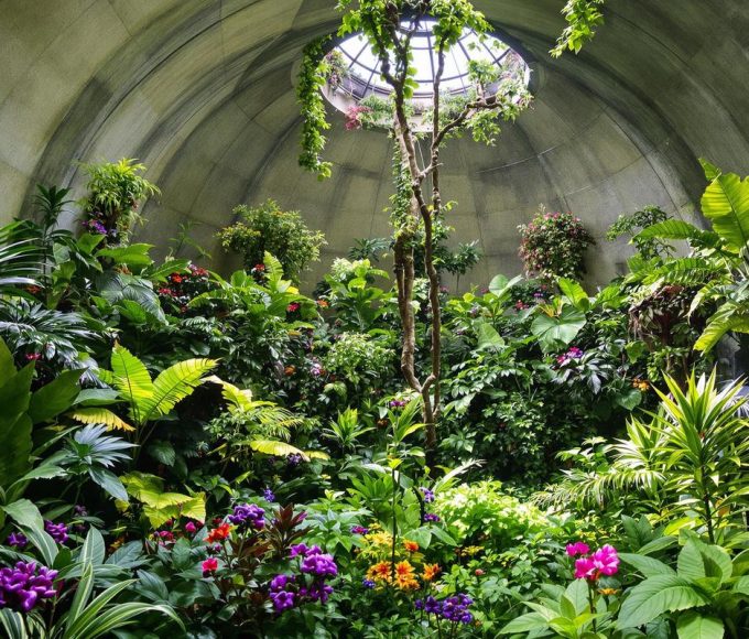 Cet ancien bunker nucléaire allemand abrite une forêt tropicale à visiter en famille.jpg