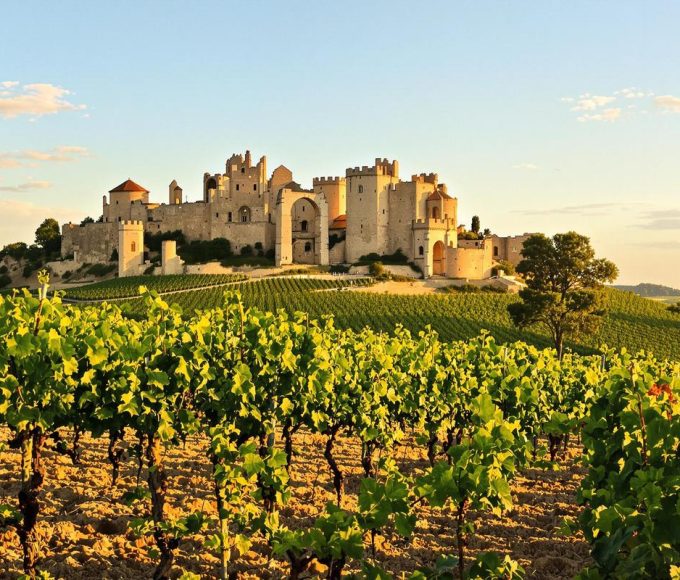 Un terroir unique, des méthodes ancestrales : les coulisses de l'un des vins les plus prestigieux de France.jpg