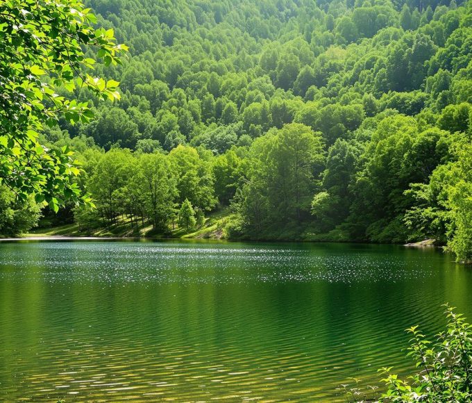 Ce massif de Bourgogne reste frais même en canicule : la destination estivale parfaite.jpg