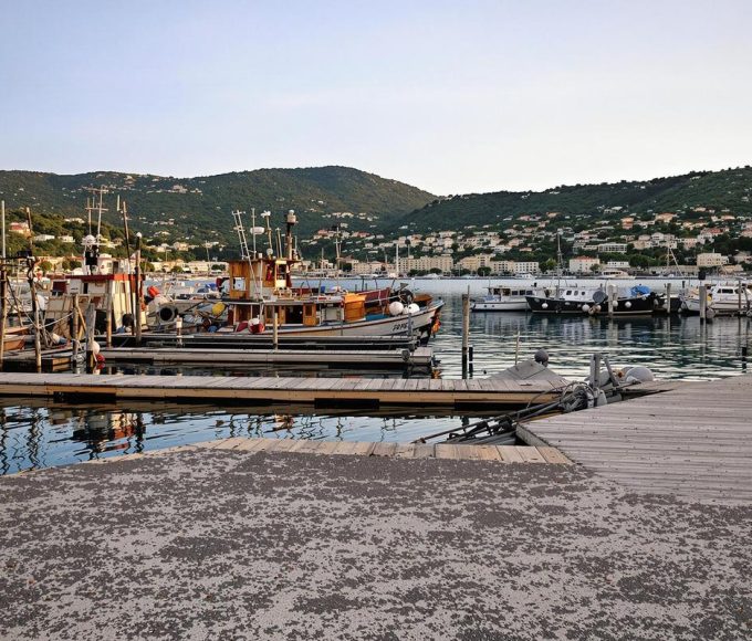 Ce port niçois, autrefois vibrant, est aujourd'hui déserté : que s'est-il passé ?.jpg
