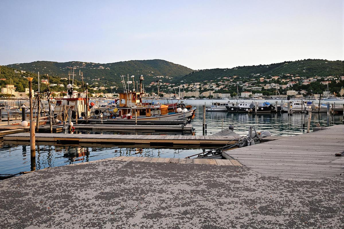 Ce port niçois, autrefois vibrant, est aujourd'hui déserté : que s'est-il passé ?.jpg