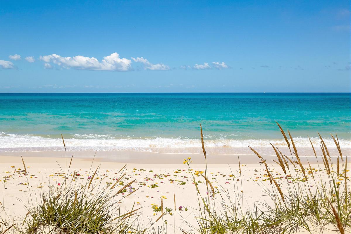 Fuyez la foule : cette côte secrète aligne plages sauvages et tarifs riquiqui.jpg