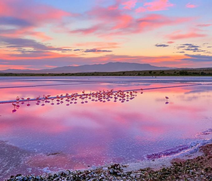 Unique au monde : ce désert rose français produit du sel depuis l’Antiquité.jpg
