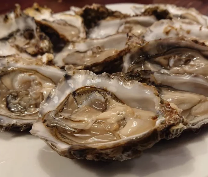 degustation-dhuitres-a-sarzeau-4-raisons-de-vivre-lexperience-en-direct-chez-un-ostreiculteur