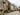Rochefort-en-Terre