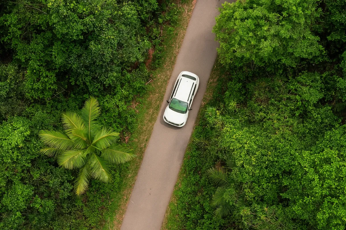 se-deplacer-en-guyane-et-a-cayenne-en-voiture-de-location-astuces-et-conseils-essentiels